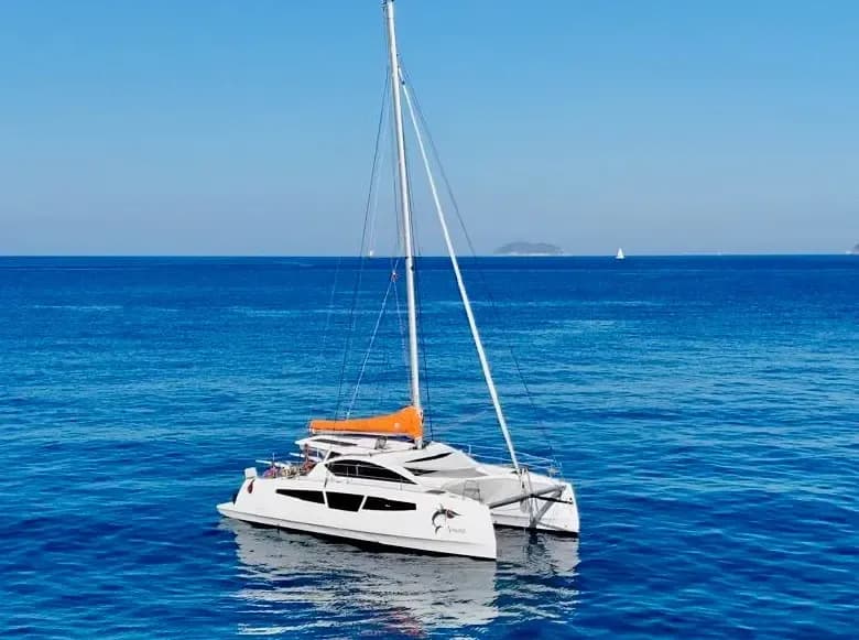 C-CAT 37 (2024)
